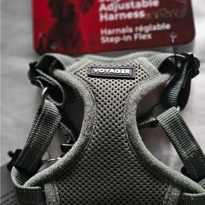 Voyager Green Step-In Flex Adjustable Harness (XS)